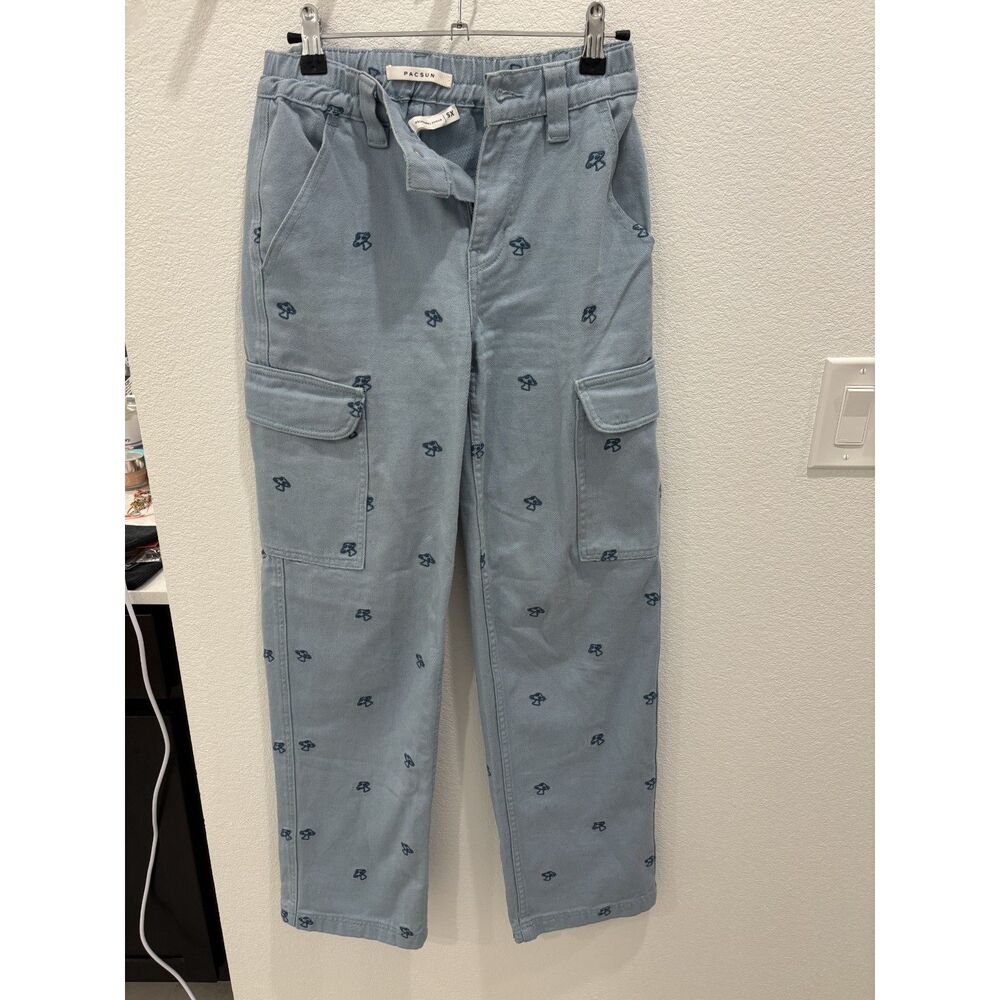 Pacsun Mushroom Baggy Carpenter Pant
